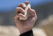 Жителя Кентау и его родственников забросали камнями односельчане