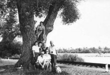 «Ветви памяти»: в Минэкологии взяли под защиту 130-летнее дерево в Нур-Султане