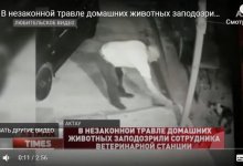 Ветеринарный инспектор травит по ночам бездомных животных – жители Актау