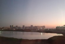 Озеро Талдыколь в Нур-Султане намерены осушить. Экологи объяснили, почему нельзя этого делать