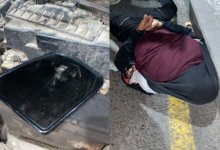 Банду воров автомобильных зеркал обезвредили в Алматы