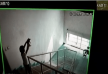 Шестилетний мальчик убил котенка, сбросив его с шестого этажа в Нур-Султане