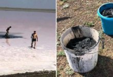 Собирали соль и грязь на озере Кобейтуз: супругов-нарушителей накажут