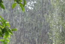 Штормовое предупреждение объявили почти во всех областях Казахстана