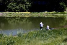 Экологи выяснят причину массовой гибели рыбы на озере Пархач в Алматы