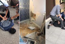 Сейф с деньгами и золотыми изделиями вынесли воры из квартиры карагандинца