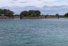 Спасая своего сына, мужчина утонул в Балхаше