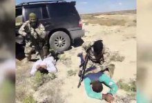 Наркодельцов на внедорожниках задержали в степи в Кызылординской области