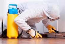 Отравление детей ядохимикатами в Шымкенте: начался суд над дезинсектором