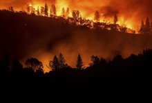 Лесной пожар в Калифорнии уже охватил 4 000 квадратных километров