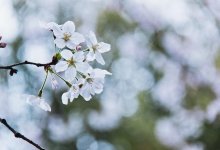 В Казахстане ожидается потепление 25-27 августа