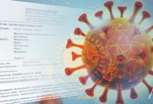 Никто не имеет права требовать от детей ПЦР и тесты на антитела - Минздрав