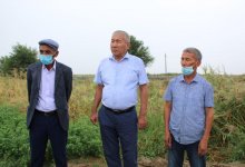 Аграрии Кызылординской области выразили поддержку партийным праймериз