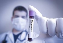 Ни одного случая коронавируса не выявили за сутки в Кызылординской области