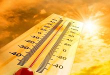 Сильная жара ожидается 30 августа в трех регионах Казахстана