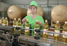 Из-за нехватки сырья казахстанские заводы по производству масла загружены только на 50%