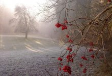 Заморозки ожидаются на севере и в центральной части Казахстана 6 сентября