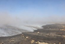 Возгорание камыша ликвидировали на побережье Каспия близ Атырау