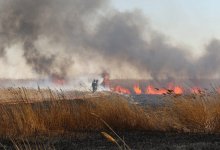 Возгорание камыша в Атырауской области начали тушить с воздуха