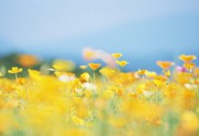 В Казахстане ожидается потепление