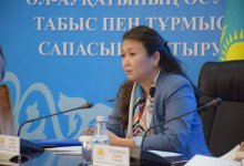 В Казахстане нужно провести проверку всех дел по семейно-бытовому насилию - мнение