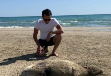 Убитого тюленя нашли на берегу Каспия в Мангистау