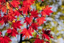 В Нур-Султане и пяти областях объявили штормовое предупреждение