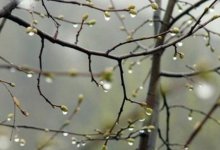 В Казахстане ожидается похолодание до 10 градусов