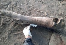 Тело убитого мужчины обнаружили на перекрестке в Уральске