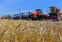 Многоуровневый план действий разработали в Nur Otan