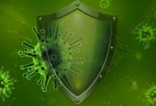 Как долго сохраняется иммунитет против коронавируса, рассказал эксперт