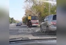 Курьер на коне: в Алматы появился новый способ доставки