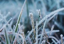 Заморозки, дожди, ветер - прогноз погоды по Казахстану на 25 сентября