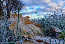 Заморозки до двух градусов и штормовое предупреждение: какой будет погода в Казахстане