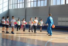 Физкультура онлайн: урок активности или профанация?