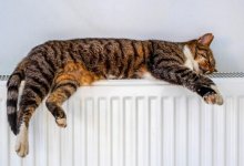 Отопление в многоэтажках Алматы подключат досрочно