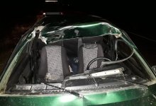 Водитель попал в больницу после столкновения с лошадью в СКО