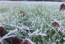 Заморозки ожидаются в ряде регионов Казахстана 1 октября