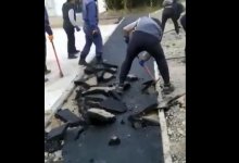 Генподрядчик восстановит тротуар, который разворотили их рабочие в Алматы