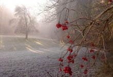 Дожди и заморозки ожидаются на юге Казахстана 2 октября