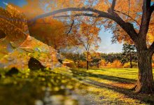 Какой будет погода в Казахстане в октябре