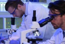 Ученые окончательно выяснили, когда у переболевших коронавирусом исчезают антитела