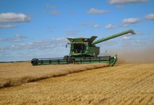 В Акмолинской области завершена уборка зерновых