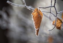 В центральном и восточном Казахстане ожидается снег. Прогноз погоды на 3-5 октября