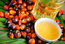 Чем полезно пальмовое масло, рассказала агроном в России
