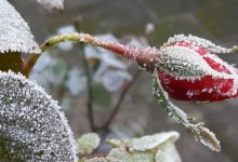 Казахстанские синоптики обещают похолодание и осадки