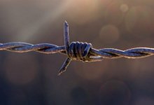 Насильникам из Степногорска вынесли приговор