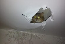 Мужчина решил разыграть коллег и парализовал работу офиса