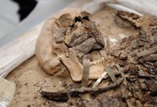 Останки древнего человека обнаружили в Атырауской области