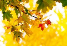 Ясно и без осадков будет на большей части Казахстана 14 октября